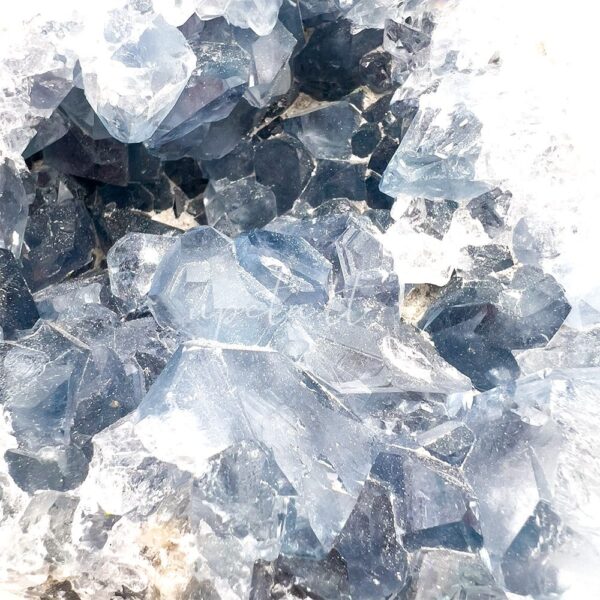 Celestinas - drūza - Image 3