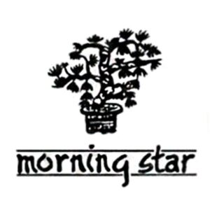 Morning star