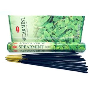 Šaltmėtė (Spearmint)